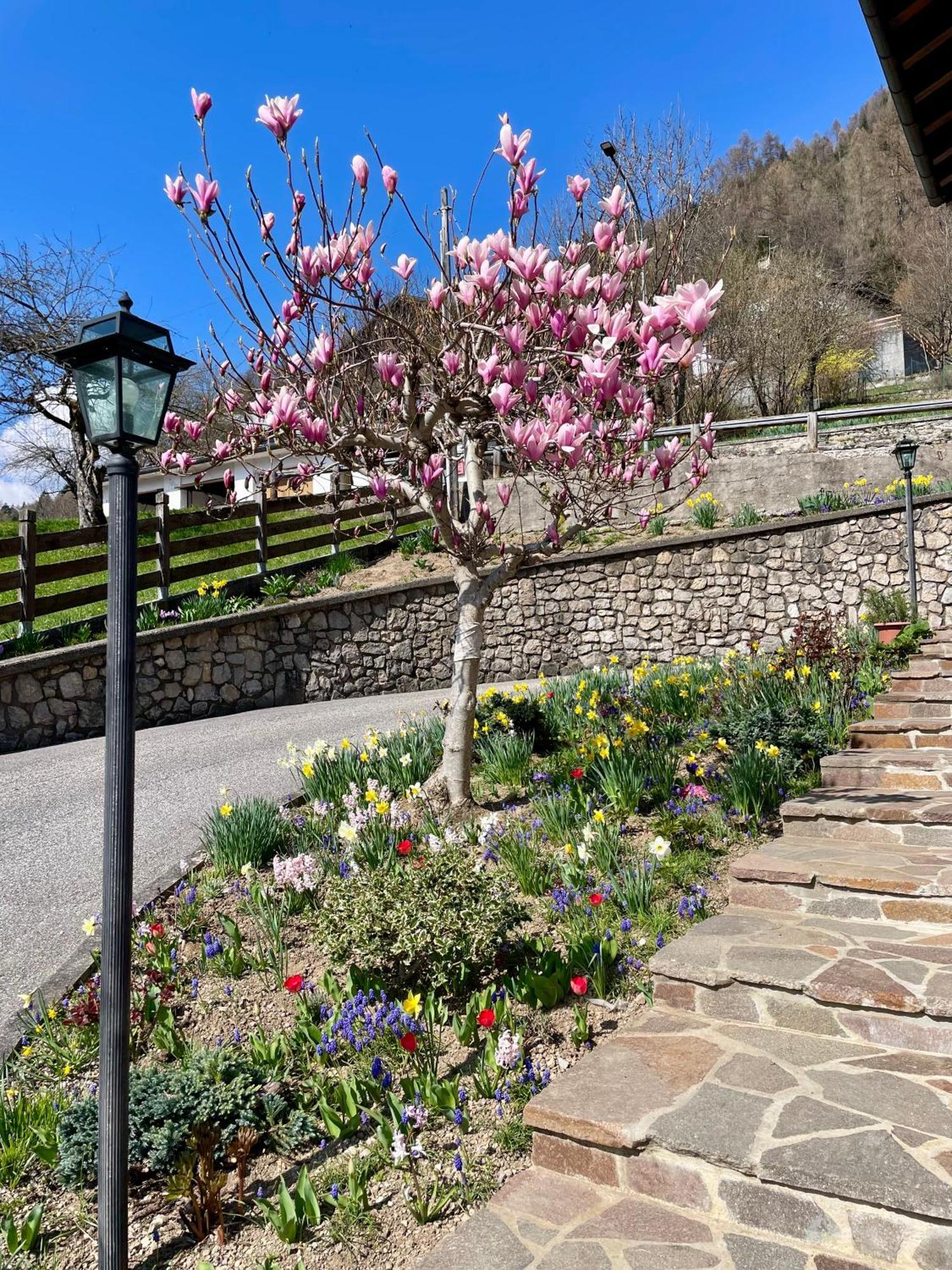 Ca Borghetto Hotel Venas Bagian luar foto